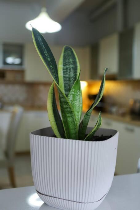 Apartment “katerina's Guest House” Kato Garouna